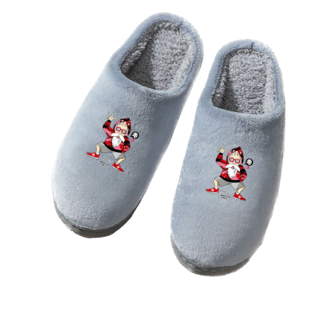 Chaussons Dragon Ball : Tortue Géniale